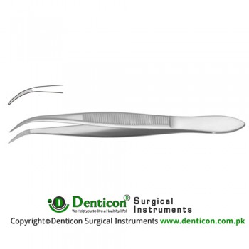 Splinter Forcep Curved - Serrated Jaws Stainless Steel, 14.5 cm - 5 3/4"
